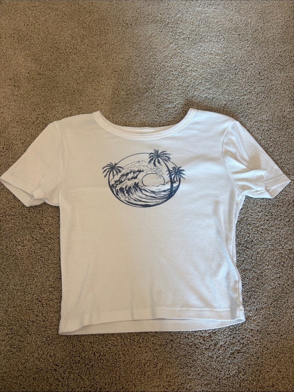 American Eagle Outfitters White Tee with Navy Surf Graphic